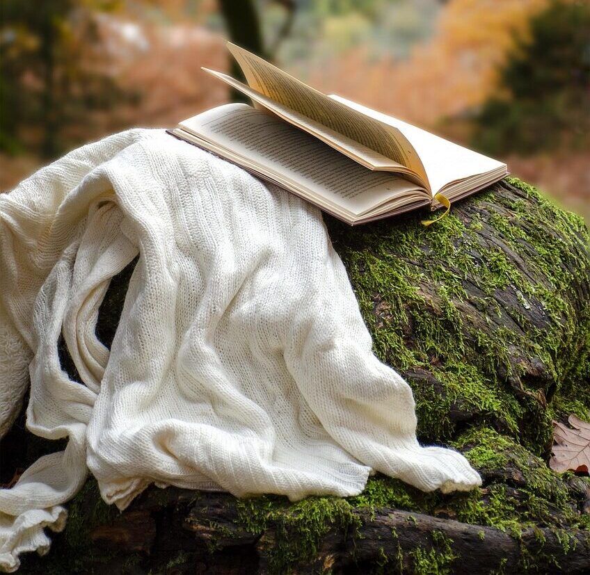 autumn, nature, book, reading, park, foliage, romance, vassilis lappas, forest, calm, relaxation